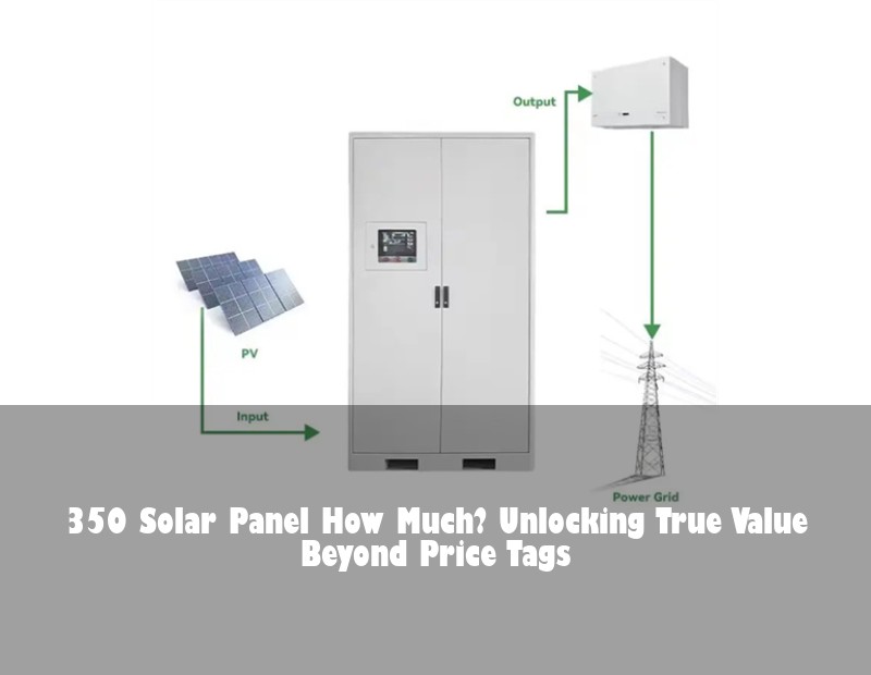 350 Solar Panel How Much? Unlocking True Value Beyond Price Tags