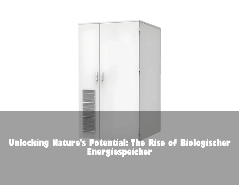 Unlocking Nature's Potential: The Rise of Biologischer Energiespeicher | Huijue Bess