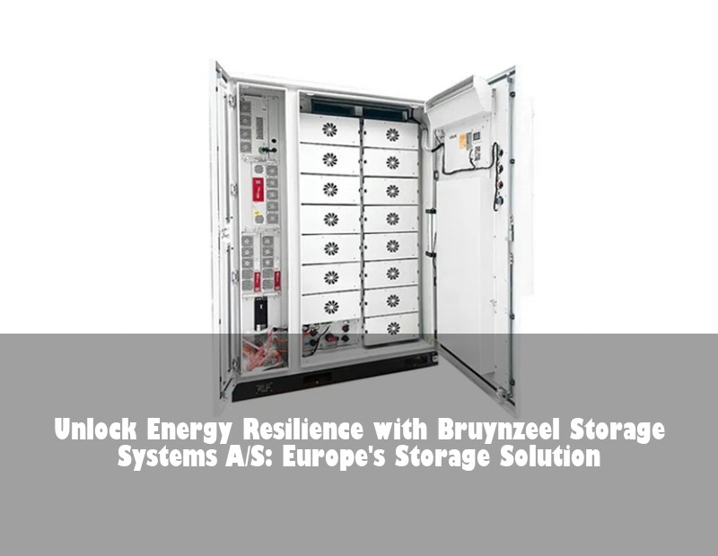 Unlock Energy Resilience with Bruynzeel Storage Systems A/S: Europe's Storage Solution | Huijue Bess
