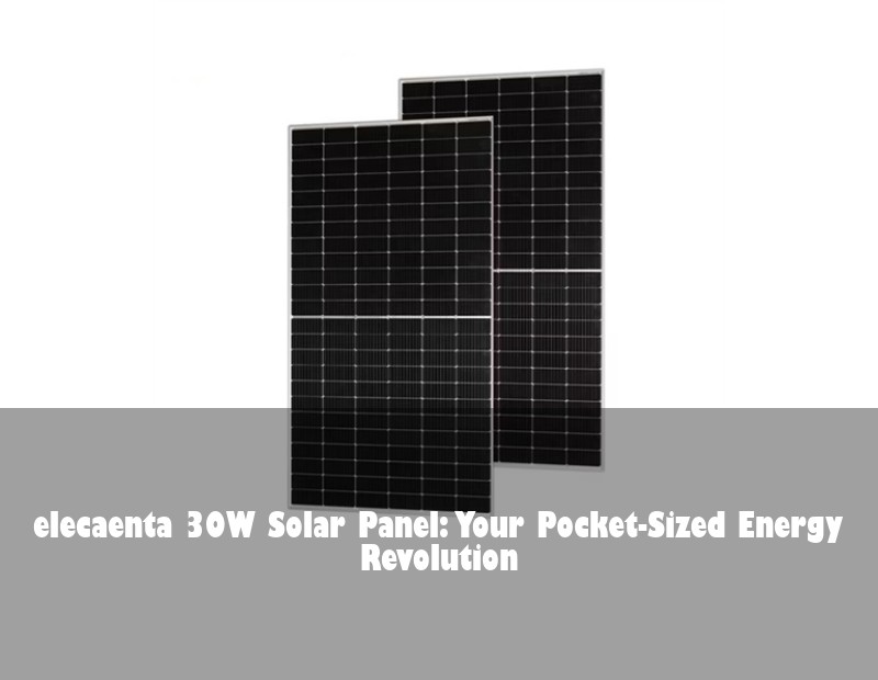 elecaenta 30W Solar Panel: Your Pocket-Sized Energy Revolution | Huijue Bess