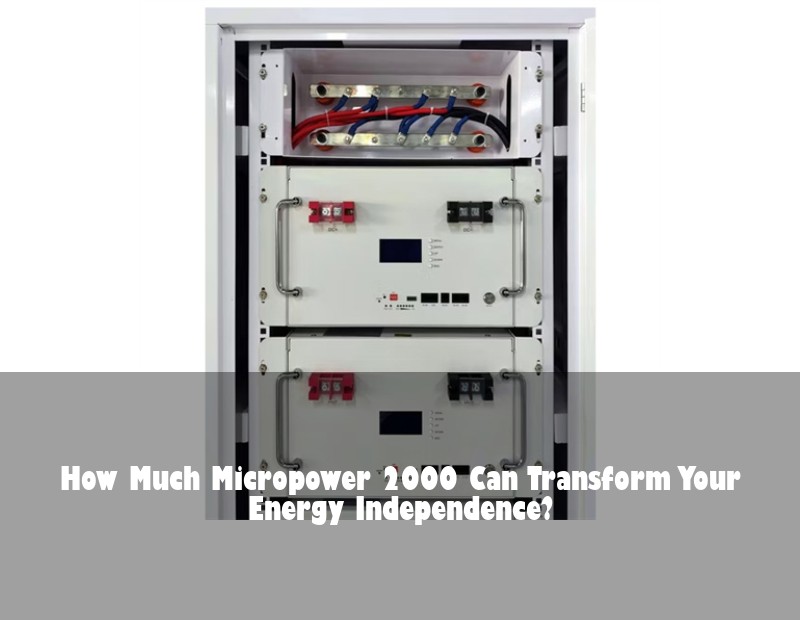 How Much Micropower 2000 Can Transform Your Energy Independence?