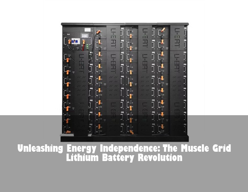 Unleashing Energy Independence: The Muscle Grid Lithium Battery Revolution | Huijue Bess