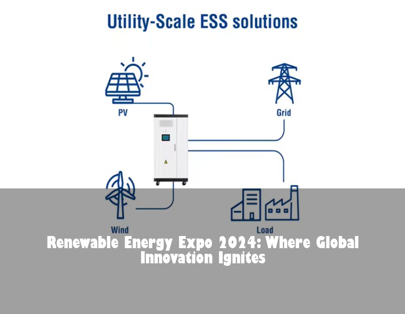 Renewable Energy Expo 2024: Where Global Innovation Ignites