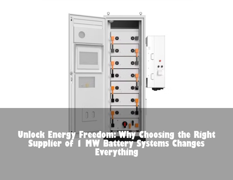 Unlock Energy Freedom: Why Choosing the Right Supplier of 1 MW Battery Systems Changes Everything