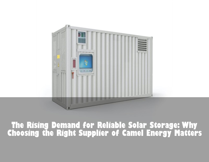 The Rising Demand for Reliable Solar Storage: Why Choosing the Right Supplier of Camel Energy Matters