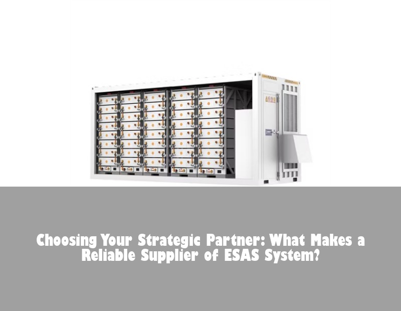 Choosing Your Strategic Partner: What Makes a Reliable Supplier of ESAS System?