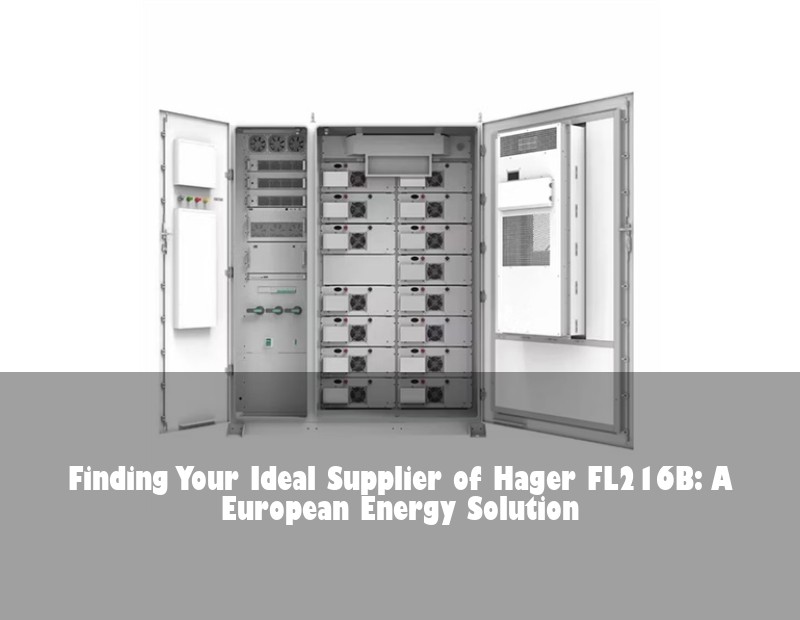 Finding Your Ideal Supplier of Hager FL216B: A European Energy Solution