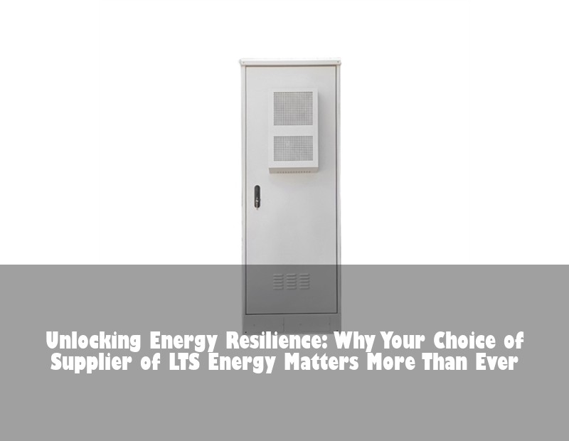 Unlocking Energy Resilience: Why Your Choice of Supplier of LTS Energy Matters More Than Ever | Huijue Bess