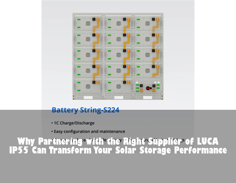 Why Partnering with the Right Supplier of LUCA IP55 Can Transform Your Solar Storage Performance