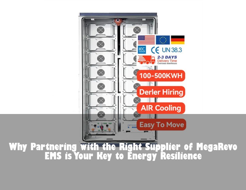 Why Partnering with the Right Supplier of MegaRevo EMS is Your Key to Energy Resilience