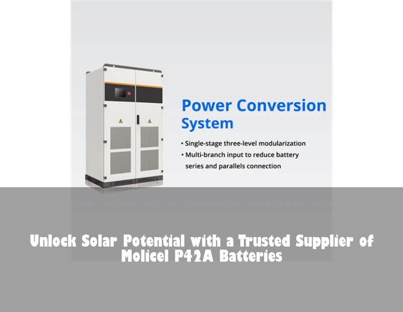 Unlock Solar Potential with a Trusted Supplier of Molicel P42A Batteries