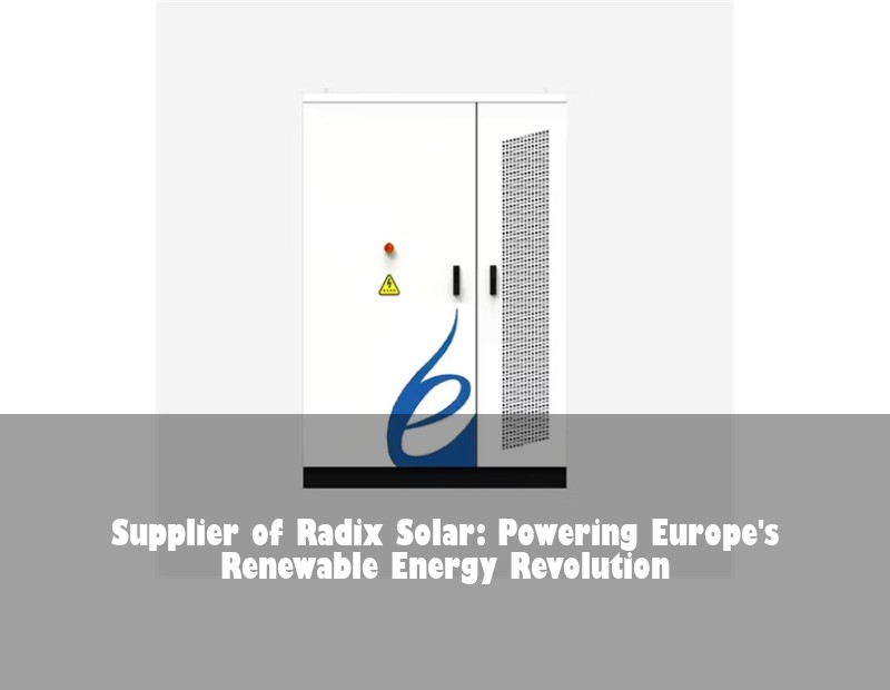 Supplier of Radix Solar: Powering Europe's Renewable Energy Revolution