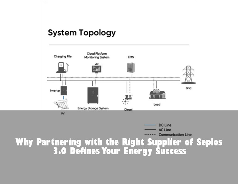 Why Partnering with the Right Supplier of Seplos 3.0 Defines Your Energy Success