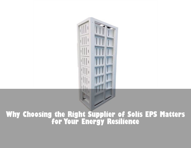 Why Choosing the Right Supplier of Solis EPS Matters for Your Energy Resilience