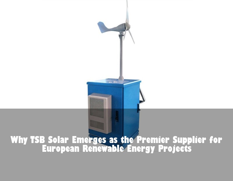 Why TSB Solar Emerges as the Premier Supplier for European Renewable Energy Projects