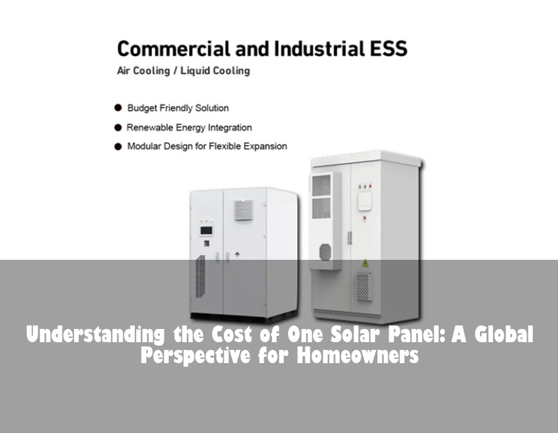 Understanding the Cost of One Solar Panel: A Global Perspective for Homeowners