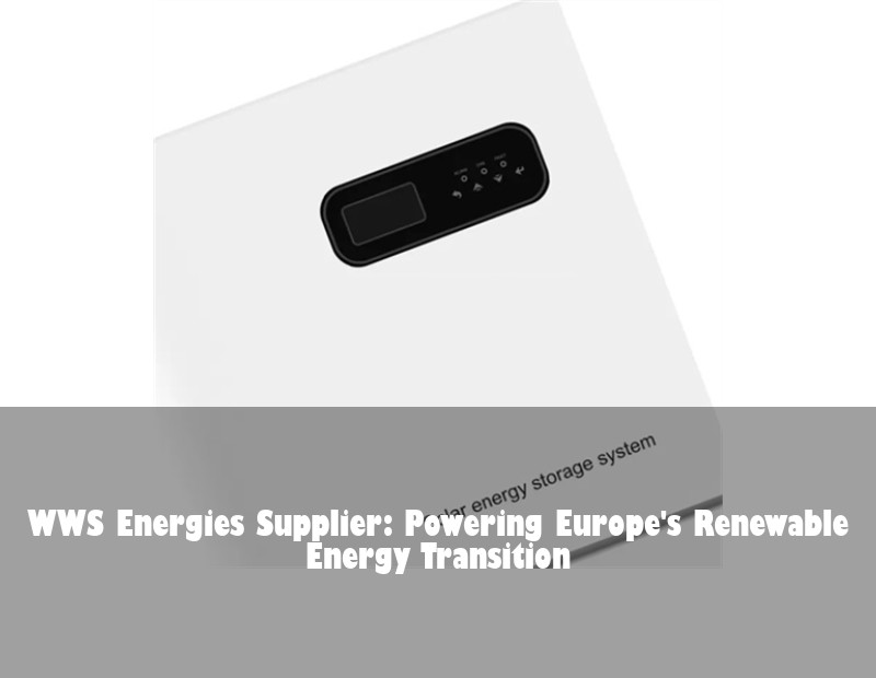 WWS Energies Supplier: Powering Europe's Renewable Energy Transition